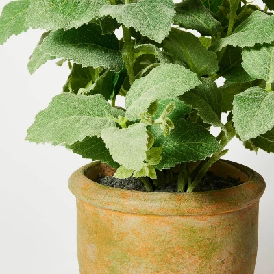 Artificial Potted Mint Leaf - Threshold™ designed with Studio McGee Artificial Potted Mint Leaf - Threshold™ Designed With Studio McGee -Threshold Home Furniture Store GUEST 19a08200 78b7 461e bcd9 c962450d4305