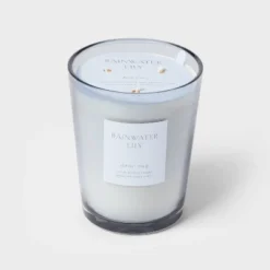 Colored Vase Glass With Dustcover Rainwater Lily Candle Gray - Threshold™ 6 Colored Vase Glass With Dustcover Rainwater Lily Candle Gray - Threshold™ -Threshold Home Furniture Store GUEST 1a738ead 7e7a 4f46 b4ff 79439b3488d0