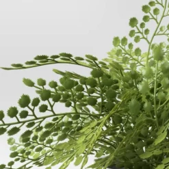 Small Fern In Modern Pot Maiden Hair Arrangement - Threshold™ 3 Small Fern In Modern Pot Maiden Hair Arrangement - Threshold™ -Threshold Home Furniture Store GUEST 1de5448c 826d 45b4 9ee7 b8e0ec6c3f1d