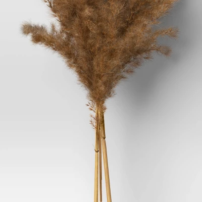 Pampas Grass Bundle - Threshold™ Pampas Grass Bundle - Threshold™ -Threshold Home Furniture Store GUEST 26edef61 6665 4adf 8950 0f1ca68295ab