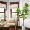 Fiddle Leaf Artificial Tree - Threshold™ 2 Fiddle Leaf Artificial Tree - Threshold™ -Threshold Home Furniture Store GUEST 2d92e649 c4d0 4a76 89b7 7331bb3a4968