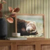 20" X 16" Bear Photography Framed Art Brown - Threshold™ 2 20" X 16" Bear Photography Framed Art Brown - Threshold™ -Threshold Home Furniture Store GUEST 3517e61a d5f0 4c54 bc45 14e5e4e062d4