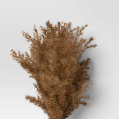 Pampas Grass Bundle - Threshold™ Pampas Grass Bundle - Threshold™ -Threshold Home Furniture Store GUEST 508108e8 4c81 4946 b427 ae9cac46da62