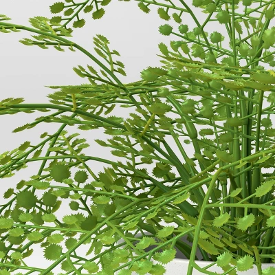 Large Fern in Modern Pot Artificial Hair Arrangement - Threshold™ Large Fern In Modern Pot Artificial Hair Arrangement - Threshold™ -Threshold Home Furniture Store GUEST 513daacf cf4d 40e8 a419 d50925a20278