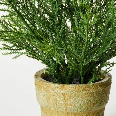 Small Potted Cyprus - Threshold™ designed with Studio McGee Small Potted Cyprus - Threshold™ Designed With Studio McGee -Threshold Home Furniture Store GUEST 54096500 37dc 4b77 a920 a283c8e88bb1