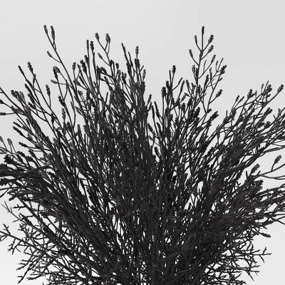 Halloween Grass Arrangement - Threshold™ Halloween Grass Arrangement - Threshold™ -Threshold Home Furniture Store GUEST 5834dd4b e292 4e7e 86c6 4be244afb3d9