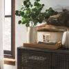 Preserved Eucalyptus Bundle - Threshold™ -Threshold Home Furniture Store GUEST 5ead8279 f22d 4030 905a d4525be9572e