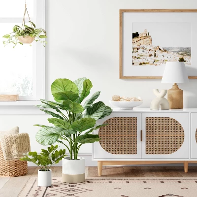 Large Variegated Plant - Threshold™ Large Variegated Plant - Threshold™ -Threshold Home Furniture Store GUEST 6155915b f745 4405 ade2 c5f4a4d301f3