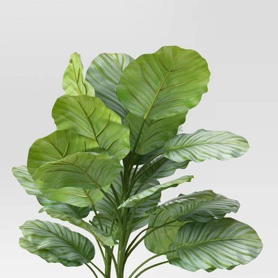 Large Variegated Plant - Threshold™ Large Variegated Plant - Threshold™ -Threshold Home Furniture Store GUEST 6d6d20b1 7bd4 4e59 9a8f bd6812046ca6