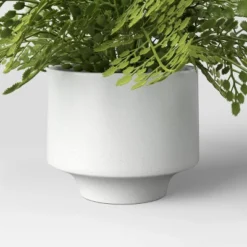 Small Fern In Modern Pot Maiden Hair Arrangement - Threshold™ 4 Small Fern In Modern Pot Maiden Hair Arrangement - Threshold™ -Threshold Home Furniture Store GUEST 75fb7d8f c213 4761 a51b b27751ab80ae