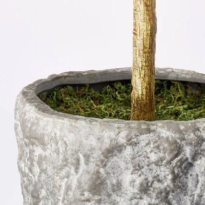 Banyan Tree Potted - Threshold™ designed with Studio McGee Banyan Tree Potted - Threshold™ Designed With Studio McGee -Threshold Home Furniture Store GUEST 7c945569 ea6c 4192 94d5 6530a4bfd2d3