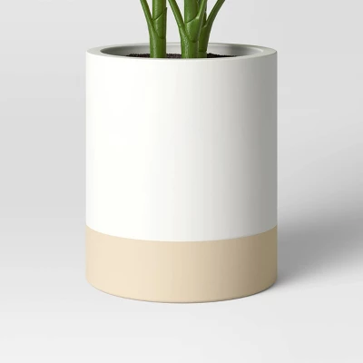 Large Variegated Plant - Threshold™ Large Variegated Plant - Threshold™ -Threshold Home Furniture Store GUEST 7d5c4722 8e80 4f51 9089 0f72358617e5