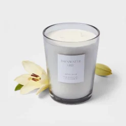 Colored Vase Glass With Dustcover Rainwater Lily Candle Gray - Threshold™ 3 Colored Vase Glass With Dustcover Rainwater Lily Candle Gray - Threshold™ -Threshold Home Furniture Store GUEST 89cc3a1b 8d7e 4237 ab9b 00456900a3cb