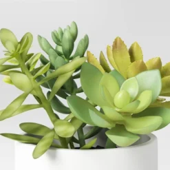 Artificial Succulents Plant In Pot - Threshold™ -Threshold Home Furniture Store GUEST 90eb1522 2fb2 472e 8125 d6acdc8fd939
