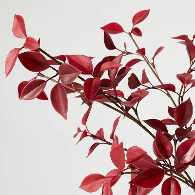 Eucalyptus Leaf Arrangement Burgundy - Threshold™ designed with Studio McGee Eucalyptus Leaf Arrangement Burgundy - Threshold™ Designed With Studio McGee -Threshold Home Furniture Store GUEST a17c1855 0816 4405 996c 2cb03582a5c1