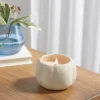 12oz Brushed Abstract Pumpkin Ceramic With Woodwick And Dustcover Warm Cider + Cinnamon Candle - Threshold™ -Threshold Home Furniture Store GUEST a500439a 2905 497b 90d6 450705c0a5a5