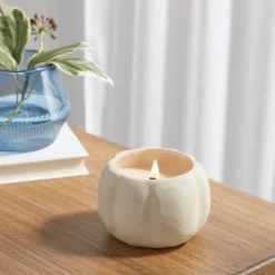 12oz Brushed Abstract Pumpkin Ceramic With Woodwick And Dustcover Warm Cider + Cinnamon Candle - Thresholdâ˘