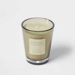 Colored Vase Glass With Dustcover Watermint And Eucalyptus Candle Green - Threshold™ -Threshold Home Furniture Store GUEST ae8e6bdf 6741 4047 bc7b 87c9f71c548e