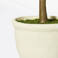 Ficus Tree - Threshold™ Designed With Studio McGee 4 Ficus Tree - Threshold™ Designed With Studio McGee -Threshold Home Furniture Store GUEST b527c49c 40e7 4f4d 8026 e60817b7e327