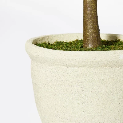 Ficus Tree - Threshold™ designed with Studio McGee Ficus Tree - Threshold™ Designed With Studio McGee -Threshold Home Furniture Store GUEST b527c49c 40e7 4f4d 8026 e60817b7e327