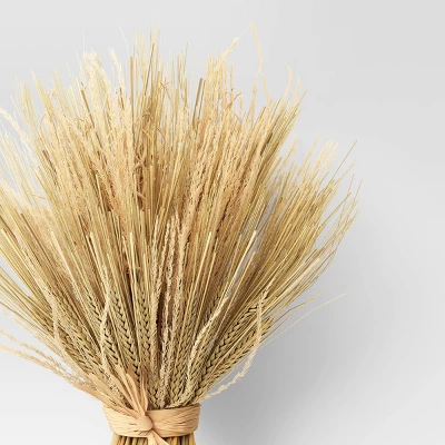 Fall Grass Standing Bundle - Threshold™ Fall Grass Standing Bundle - Threshold™ -Threshold Home Furniture Store GUEST c103519e 556f 4239 ad88 469ef01f233a