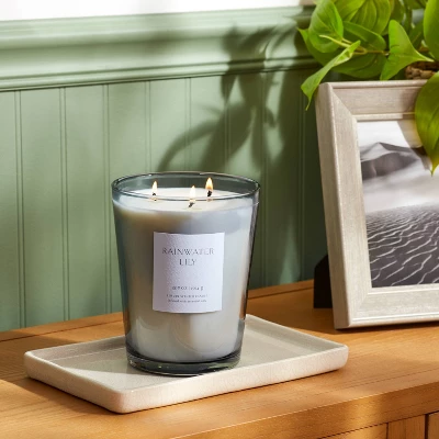 Colored Vase Glass with Dustcover Rainwater Lily Candle Gray - Threshold™ Colored Vase Glass With Dustcover Rainwater Lily Candle Gray - Threshold™ -Threshold Home Furniture Store GUEST d1f6c75b 5450 4bd4 ba74 ccc44d57df12