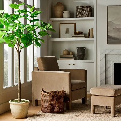 Ficus Tree - Threshold™ designed with Studio McGee Ficus Tree - Threshold™ Designed With Studio McGee -Threshold Home Furniture Store GUEST db66c221 b42f 4d97 be7b fdbcd1cac9a7