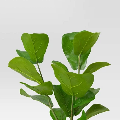 Large Fiddle Leaf Potted - Threshold™ Large Fiddle Leaf Potted - Threshold™ -Threshold Home Furniture Store GUEST e47ba843 fa44 416e 8ad6 063b8c53586b