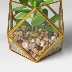 5" X 4" Artificial Succulent Plant With Brass Terrarium - Threshold™ 4 5" X 4" Artificial Succulent Plant With Brass Terrarium - Threshold™ -Threshold Home Furniture Store GUEST e581f30b 3349 4561 94cd 4b256f51db66