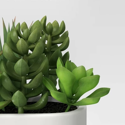 Artificial Succulents in Long Pot White - Threshold™ Artificial Succulents In Long Pot White - Threshold™ -Threshold Home Furniture Store GUEST f6774a9f 77ab 46c8 9631 e321c06e5fb2