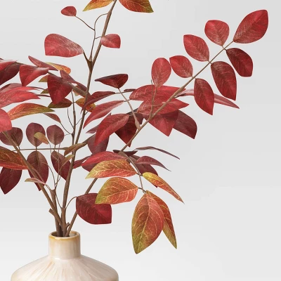 Leaf Arrangement in Ceramic Pot Red - Threshold™ Leaf Arrangement In Ceramic Pot Red - Threshold™ -Threshold Home Furniture Store GUEST f87e7d98 350e 40d1 8ad6 ab38c93d3214