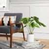 21" X 23" Artificial Monstera Arrangement In Ceramic Pot - Threshold™ -Threshold Home Furniture Store GUEST f9d6b249 48b9 4058 95a4 5e610fe21d3f